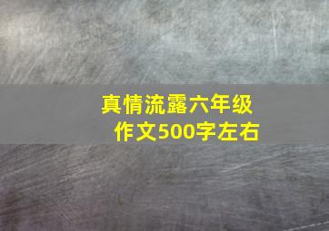 真情流露六年级作文500字左右