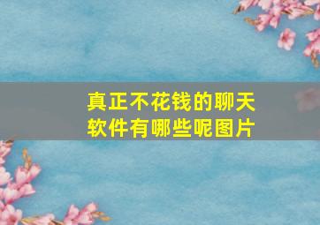 真正不花钱的聊天软件有哪些呢图片