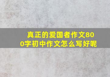 真正的爱国者作文800字初中作文怎么写好呢