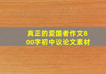 真正的爱国者作文800字初中议论文素材