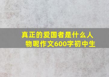 真正的爱国者是什么人物呢作文600字初中生