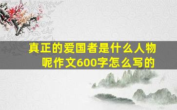 真正的爱国者是什么人物呢作文600字怎么写的