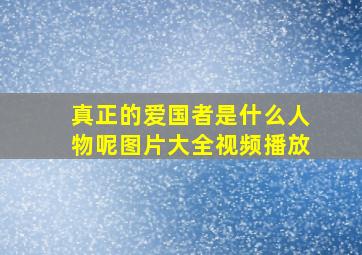 真正的爱国者是什么人物呢图片大全视频播放