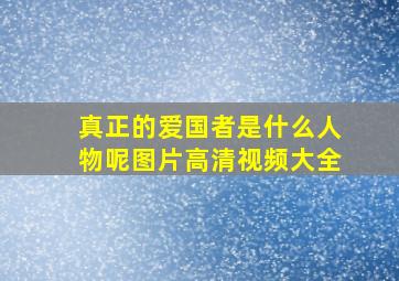 真正的爱国者是什么人物呢图片高清视频大全