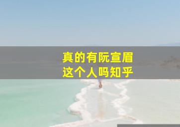 真的有阮宣眉这个人吗知乎