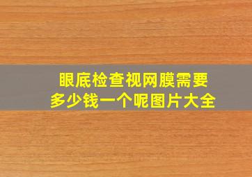 眼底检查视网膜需要多少钱一个呢图片大全