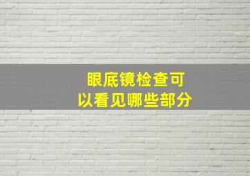 眼底镜检查可以看见哪些部分