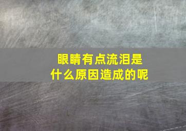 眼睛有点流泪是什么原因造成的呢