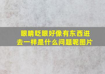 眼睛眨眼好像有东西进去一样是什么问题呢图片