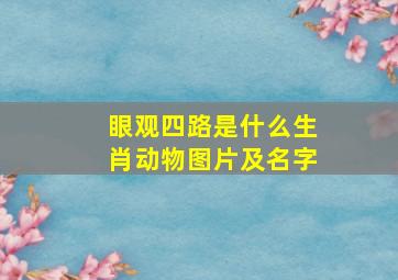 眼观四路是什么生肖动物图片及名字