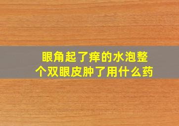 眼角起了痒的水泡整个双眼皮肿了用什么药