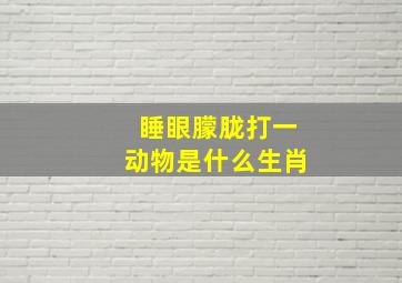 睡眼朦胧打一动物是什么生肖