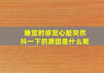 睡觉时感觉心脏突然抖一下的原因是什么呢