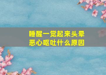 睡醒一觉起来头晕恶心呕吐什么原因