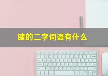 睹的二字词语有什么