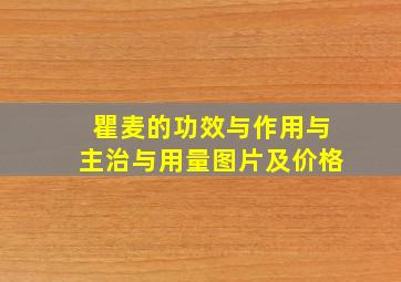 瞿麦的功效与作用与主治与用量图片及价格