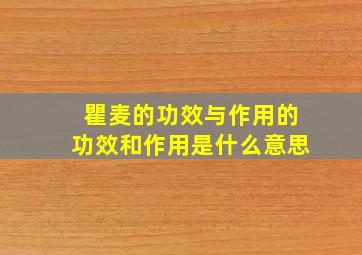 瞿麦的功效与作用的功效和作用是什么意思