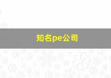 知名pe公司