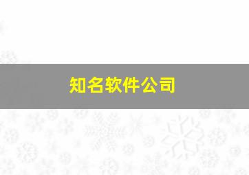 知名软件公司