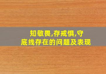 知敬畏,存戒惧,守底线存在的问题及表现