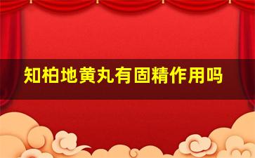 知柏地黄丸有固精作用吗