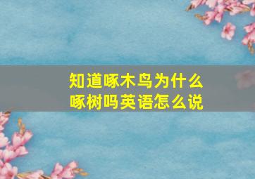 知道啄木鸟为什么啄树吗英语怎么说