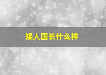 矮人国长什么样