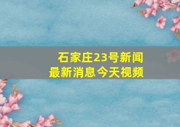 石家庄23号新闻最新消息今天视频