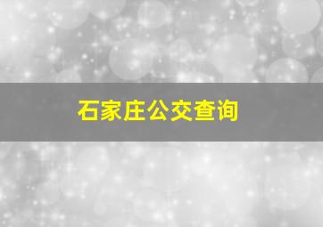 石家庄公交查询