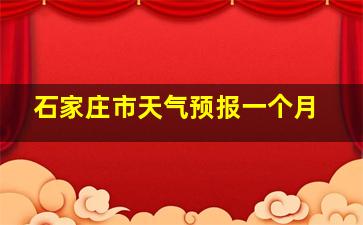 石家庄市天气预报一个月