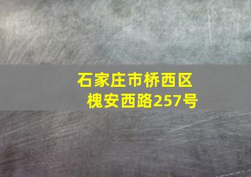 石家庄市桥西区槐安西路257号