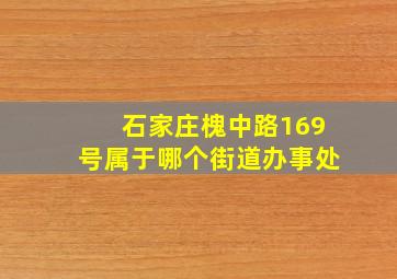 石家庄槐中路169号属于哪个街道办事处