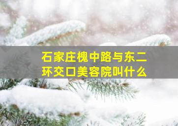 石家庄槐中路与东二环交口美容院叫什么