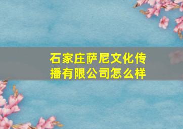 石家庄萨尼文化传播有限公司怎么样