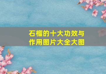 石榴的十大功效与作用图片大全大图