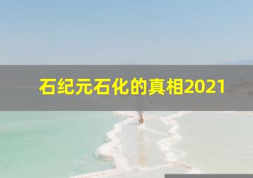 石纪元石化的真相2021