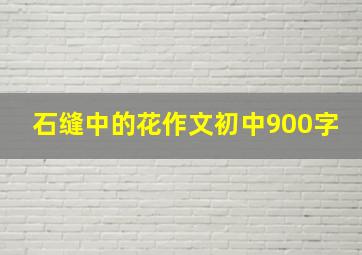 石缝中的花作文初中900字