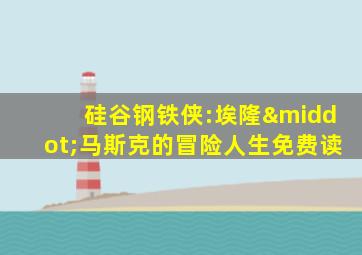 硅谷钢铁侠:埃隆·马斯克的冒险人生免费读