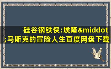 硅谷钢铁侠:埃隆·马斯克的冒险人生百度网盘下载