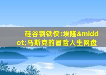 硅谷钢铁侠:埃隆·马斯克的冒险人生网盘