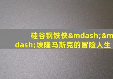 硅谷钢铁侠——埃隆马斯克的冒险人生