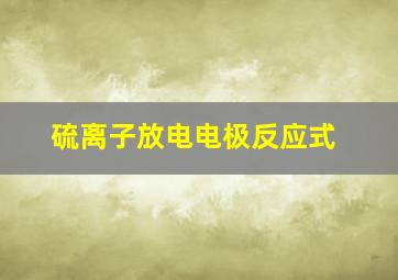 硫离子放电电极反应式