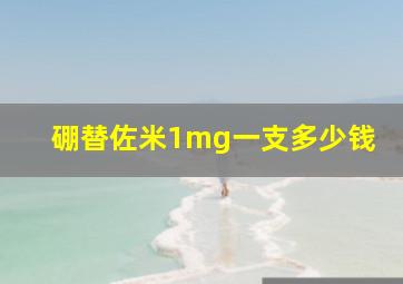 硼替佐米1mg一支多少钱