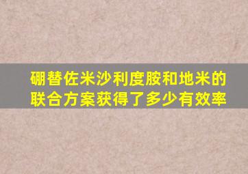 硼替佐米沙利度胺和地米的联合方案获得了多少有效率