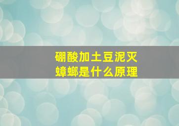 硼酸加土豆泥灭蟑螂是什么原理