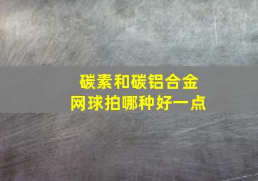 碳素和碳铝合金网球拍哪种好一点