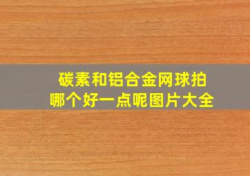 碳素和铝合金网球拍哪个好一点呢图片大全