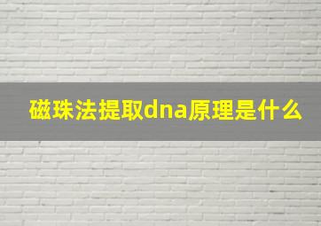 磁珠法提取dna原理是什么