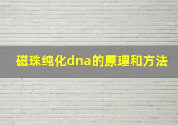 磁珠纯化dna的原理和方法