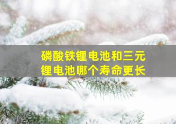 磷酸铁锂电池和三元锂电池哪个寿命更长